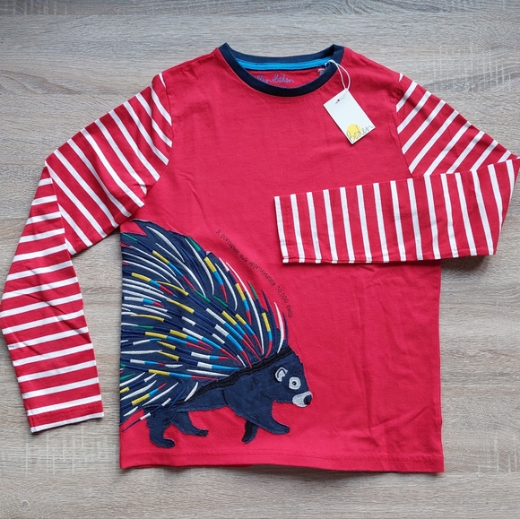 2021 nwt Mini Boden porcupine tee 11-12 years - Picture 13 of 14